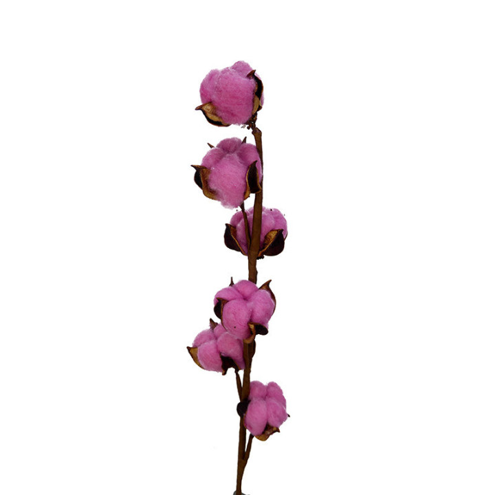 ALGODON FUCSIA1