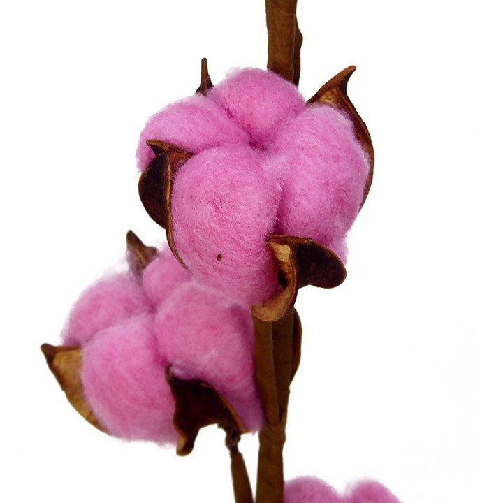 ALGODON FUCSIA2