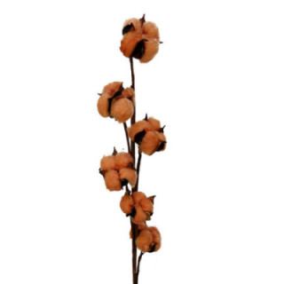 ALGODON MELOCOTON1