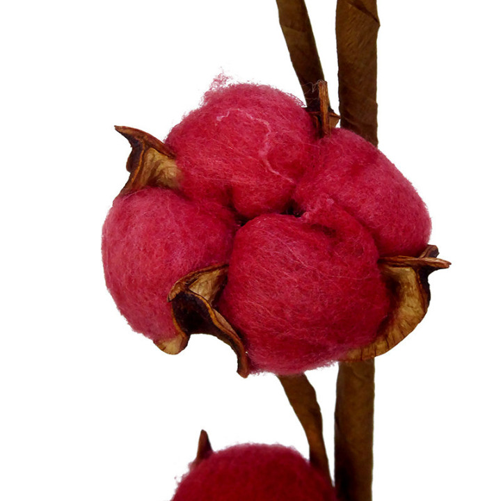 ALGODON ROJO2