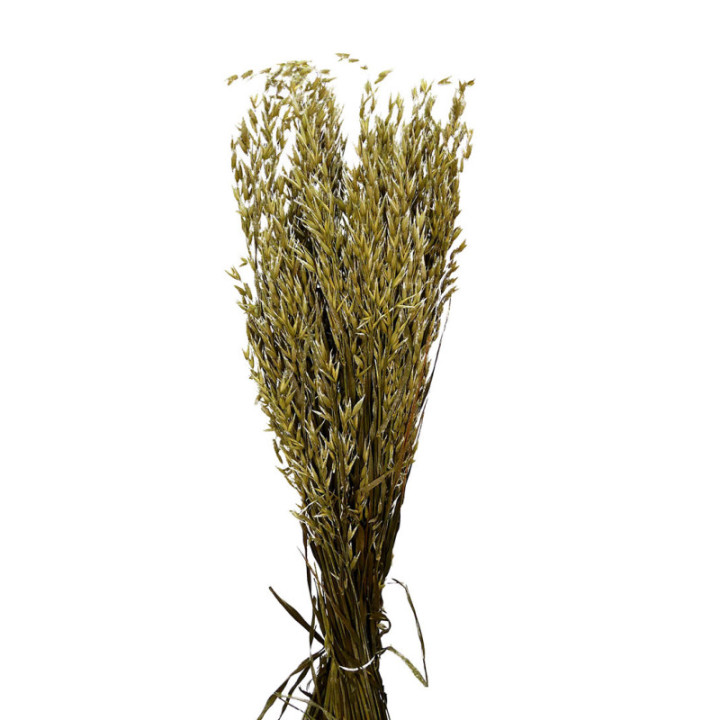 AVENA SECA NATURAL1