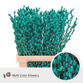 SALIX SNOWFLAKE MINT 701