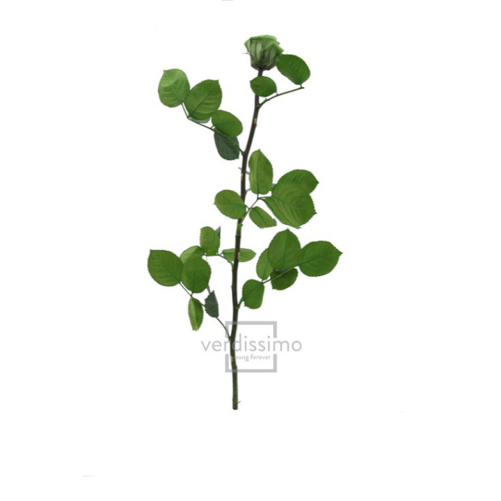 ROSA AMOROSA PRESERVADA GRANEL PRZ/31502