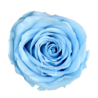 ROSA AMOROSA PRESERVADA GRANEL PRZ/36401