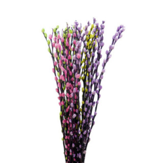SALIX SNOWFLAKE PASTEL MIX 701