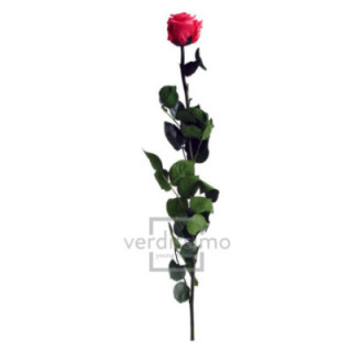 ROSA AMOROSA PRESERVADA GRANEL PRZ/34301