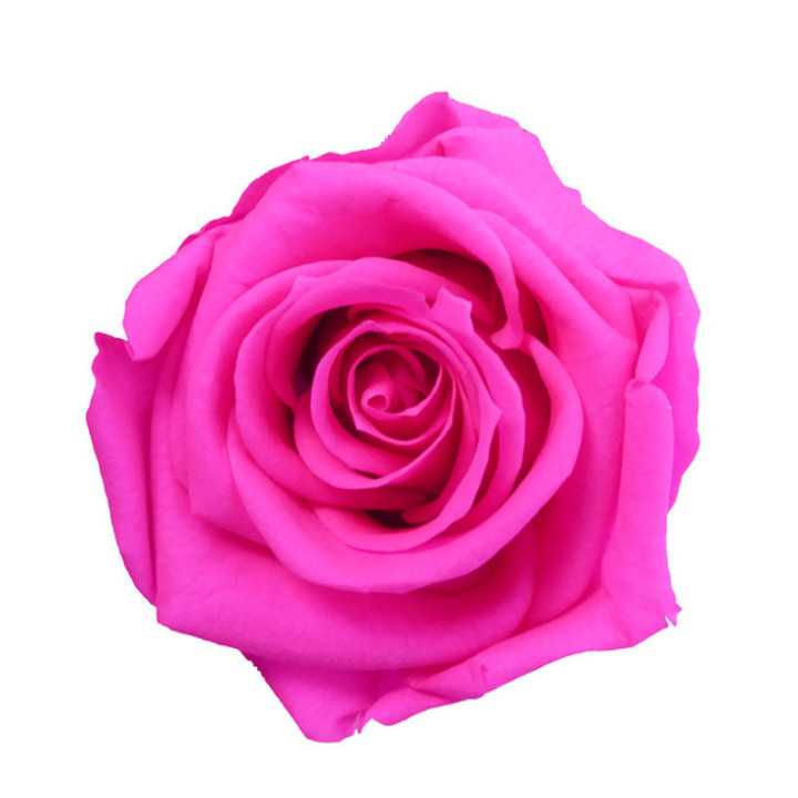 ROSA AMOROSA PRESERVADA GRANEL PRZ/34302
