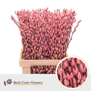 SALIX SNOWFLAKE ROSA CLARO 701