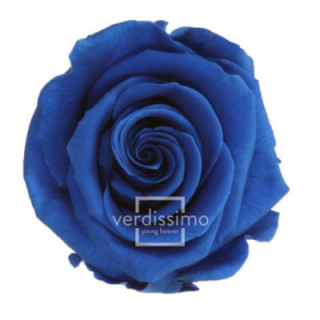 ROSA AMOROSA PRESERVADA GRANEL PRZ/36301