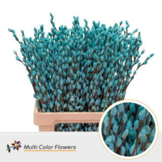 SALIX SNOWFLAKE AZUL CLARO 701