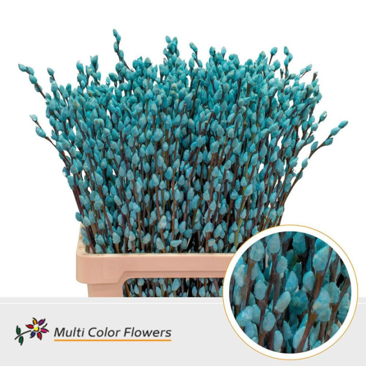SALIX SNOWFLAKE AZUL CLARO 701