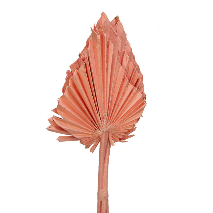 PALMITO SECO PINTADO ROSA CLARO1