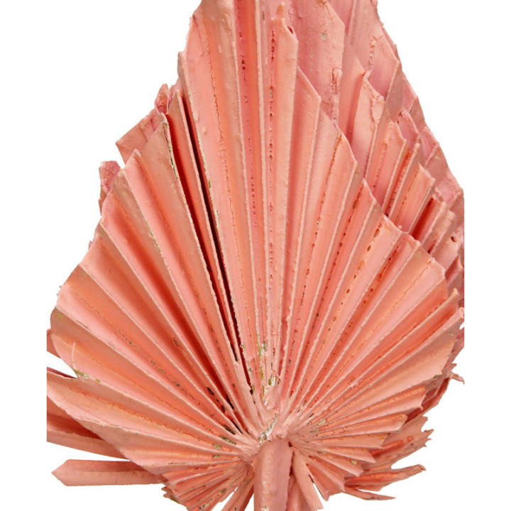 PALMITO SECO PINTADO ROSA CLARO2