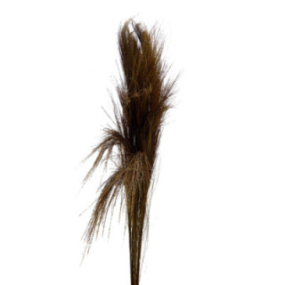 BROOM GRAAS SECO NATURAL1