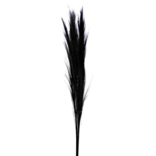 BROOM GRAAS SECO BLACK1