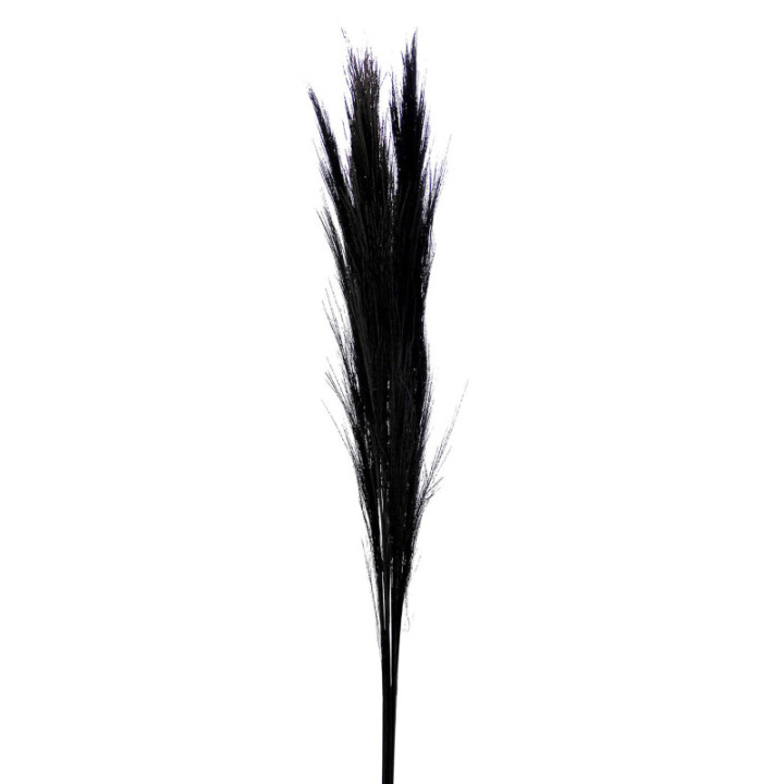 BROOM GRAAS SECO BLACK1