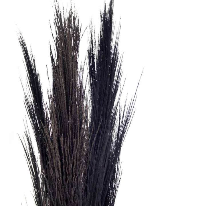 BROOM GRAAS SECO BLACK2