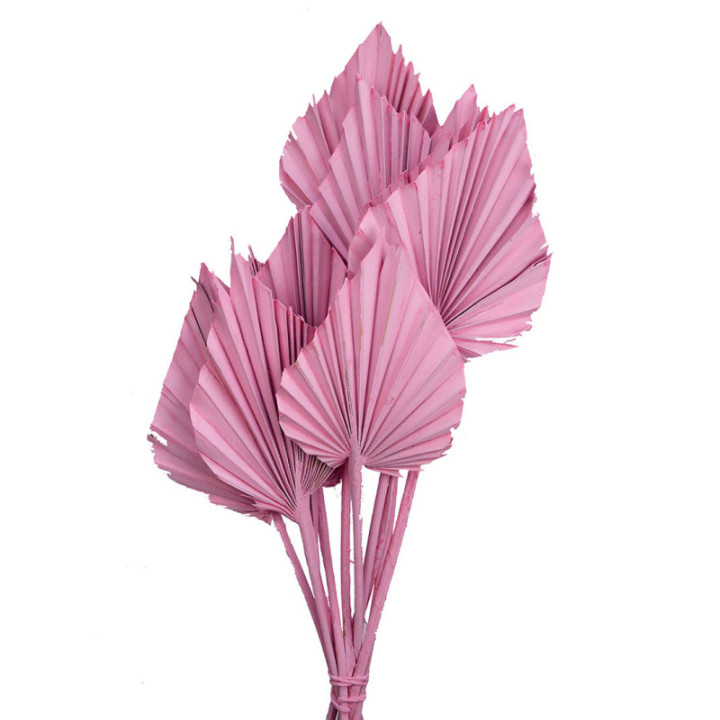 PALMITO SECO SPEAR ROSA CLARO 45CM1