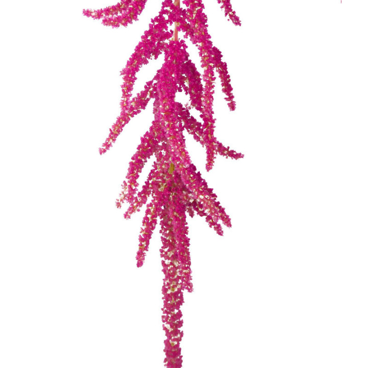 AMAR LOVE LIES BLEEDING 753