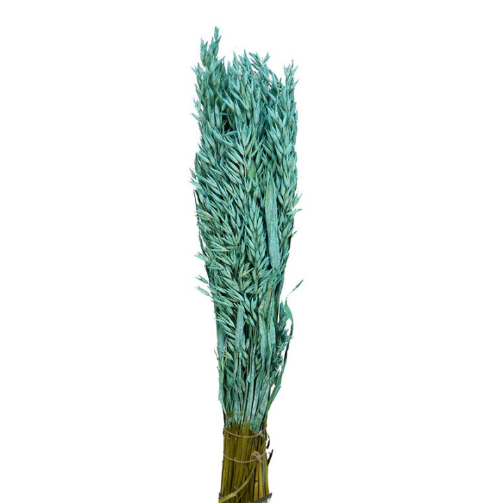 AVENA SECA AZUL AQUA1