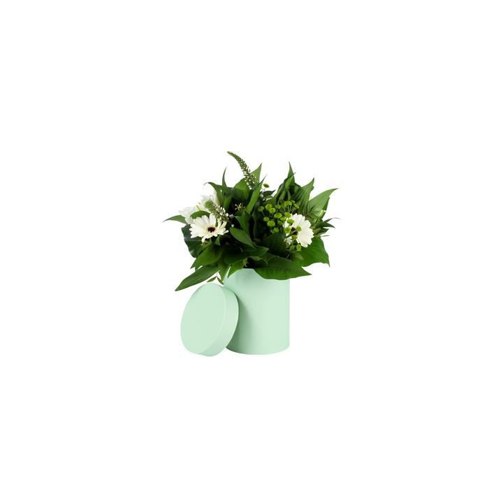 CAJA CARTON PASTEL VERDE 13Ø*17cm1