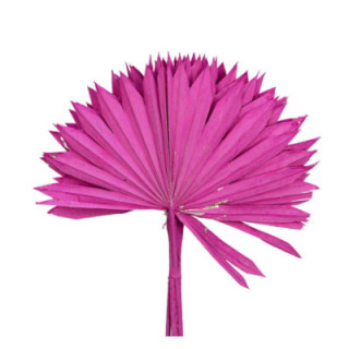 PALMITO SECO PINTADO FUCSIA GRANDE1