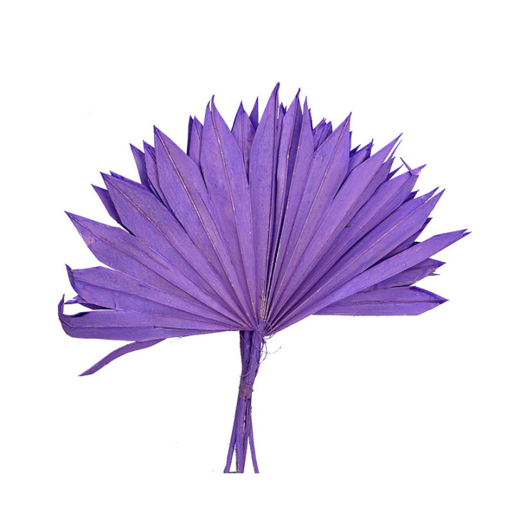 PALMITO SECO PINTADO MILKA GRANDE1