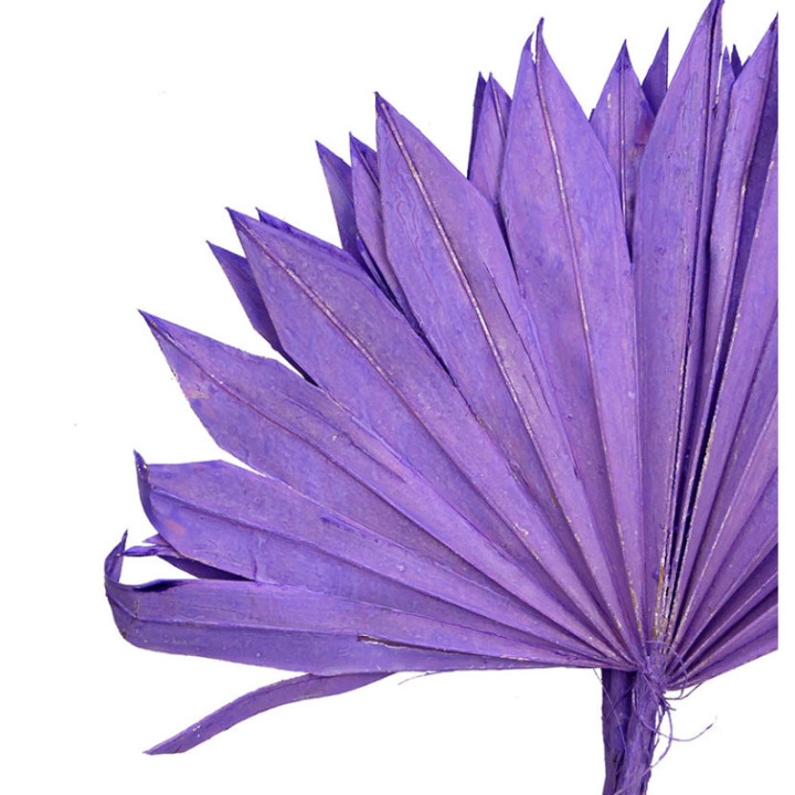 PALMITO SECO PINTADO MILKA GRANDE2