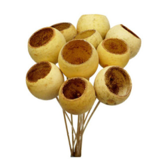 BELL CUP SECO NATURAL1