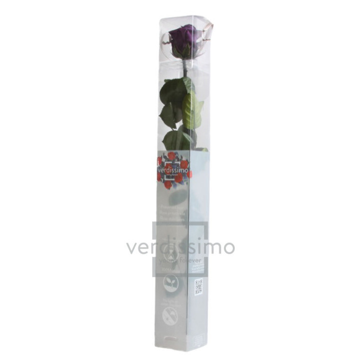 ROSA AMOROSA PRESERVADA ESTANDAR PRZ/18403