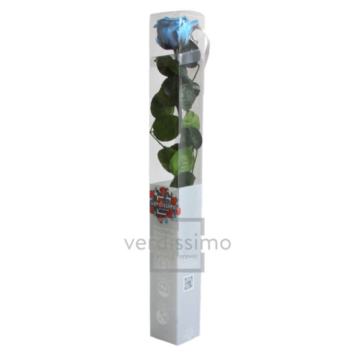 ROSA AMOROSA PRESERVADA ESTANDAR PRZ/16403