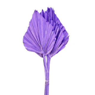 PALMITO SECO PINTADO MILKA1