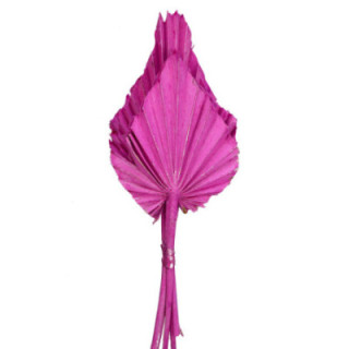 PALMITO SECO PINTADO FUCSIA1