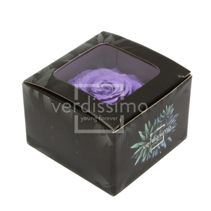 ROSA PRESERVADA KING RSK/28302