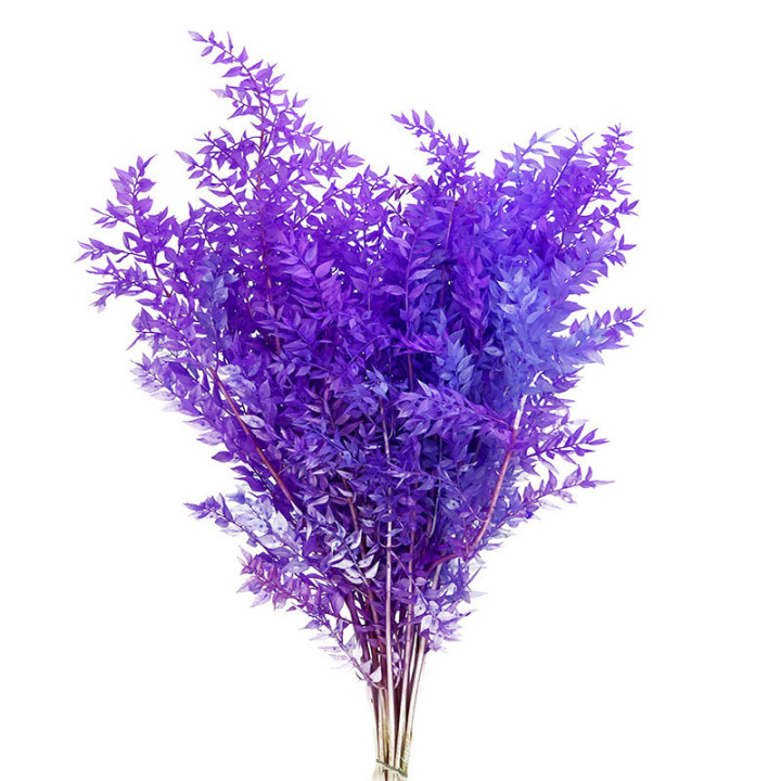 RUSCUS FINO PRESERVADO MORADO1