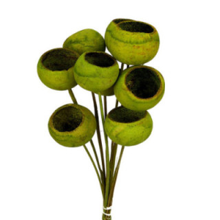 BELL CUP SECO VERDE1