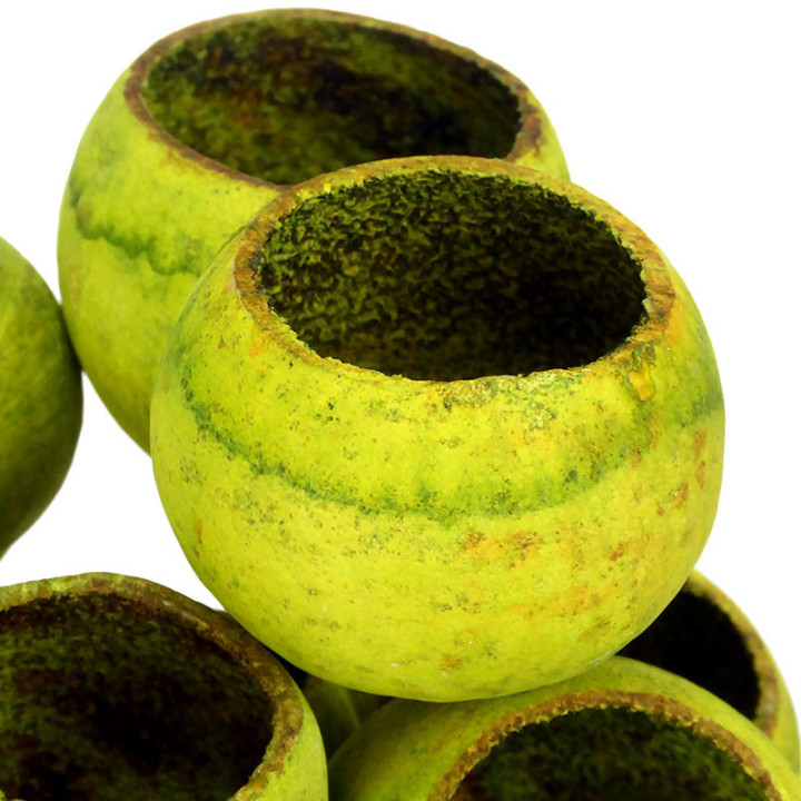 BELL CUP SECO VERDE2