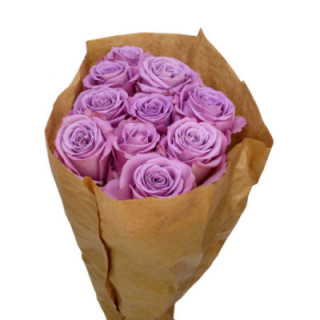 ROSA HOL NAYELI 501