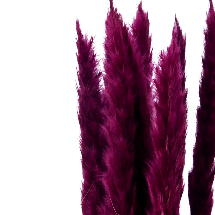 PAMPAS SILVY BORDEAUX 852