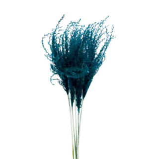 MISCANTHUS SECO LIGHT BLUE1