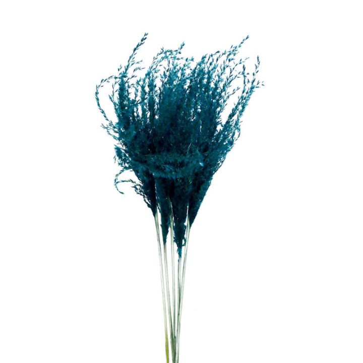 MISCANTHUS SECO LIGHT BLUE1