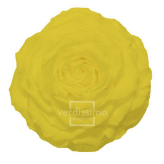 ROSA PRESERVADA KING RSK/23501
