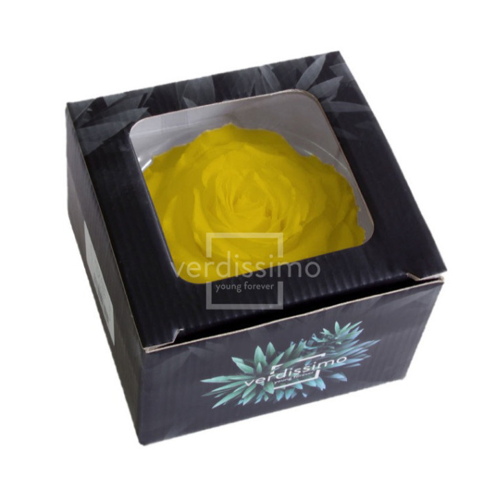 ROSA PRESERVADA KING RSK/23502