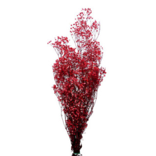 GYPSOPHILA PRESERVADO ROSA GYP/44201