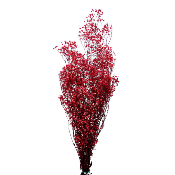 GYPSOPHILA PRESERVADO ROSA GYP/44201