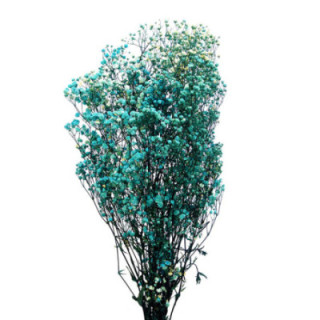 GYPSOPHILA PRESERVADO LIGHT AZUL GYP/46401