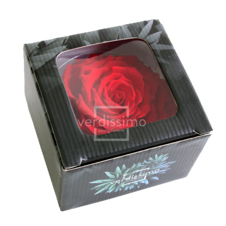 ROSA PRESERVADA KING RSK/22002