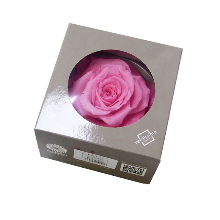 ROSA PRESERVADA KING RSK/24201