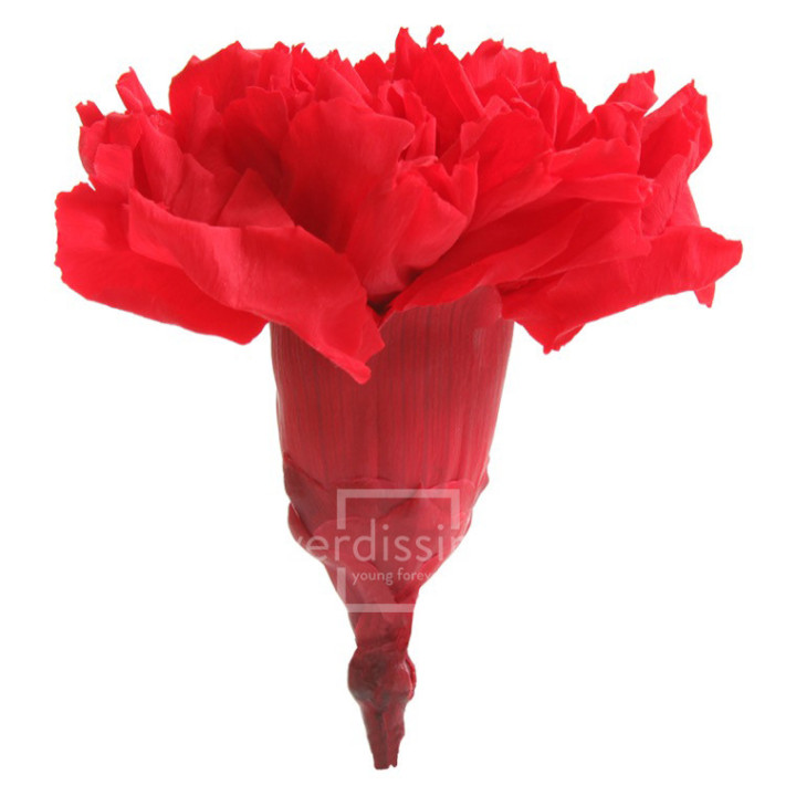 CLAVEL PRESERVADO ROJO CAR/12002