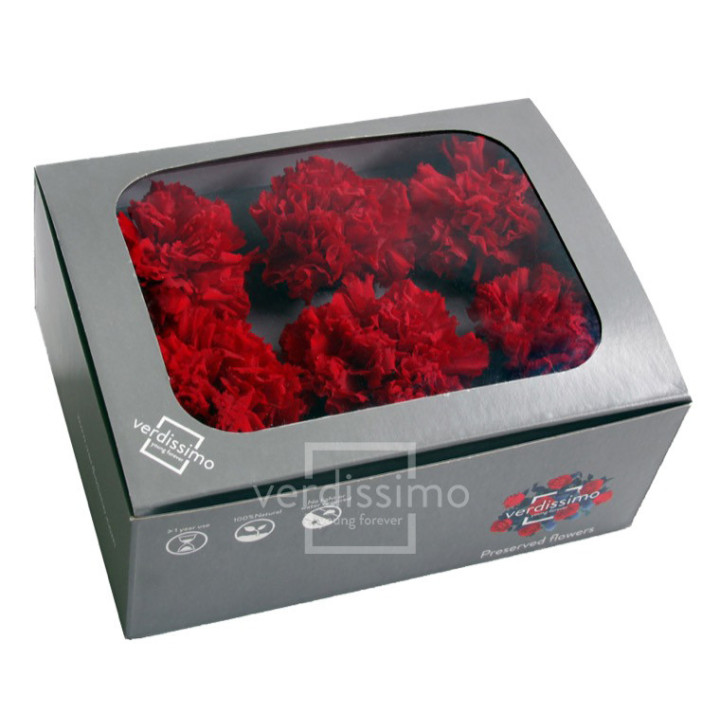 CLAVEL PRESERVADO ROJO CAR/12003